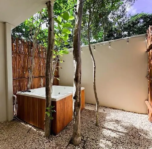 Apartment Estudio Bohemio Naia B8 *